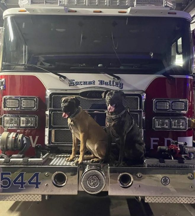 LVFD